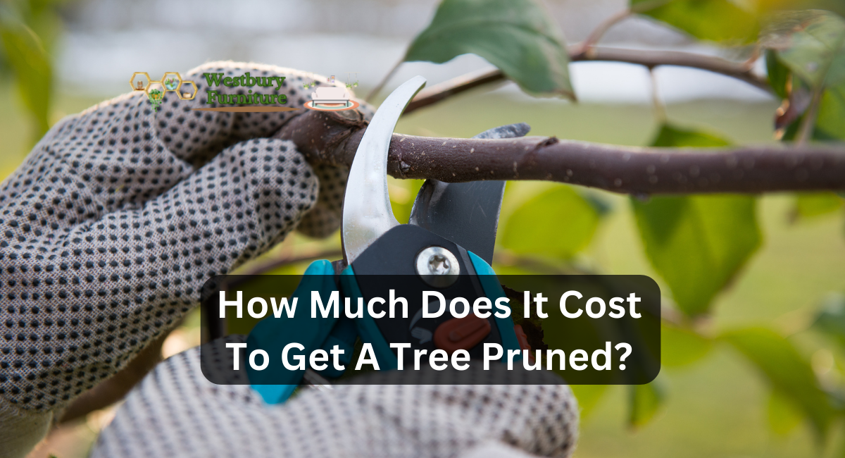 How Much Does It Cost To Get A Tree Pruned?