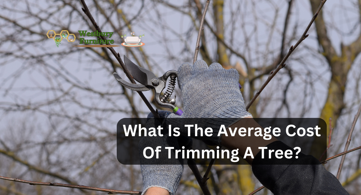 What Is The Average Cost Of Trimming A Tree?